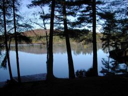 Rainbow Lake through the pines